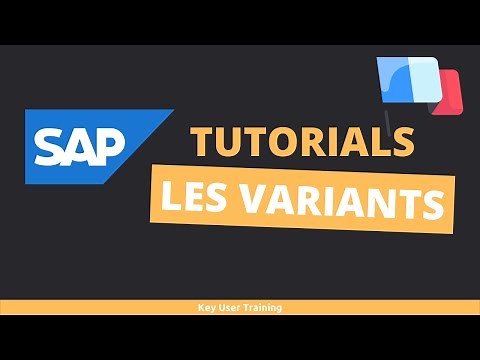 SAP - Comment créer une variant dans SAP?