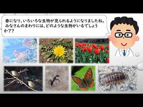 【小４理科①】季節と生物（１）「春の始まり」