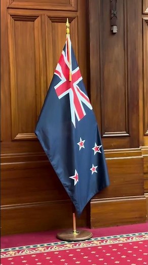 🌬️ Top 5 Things to Do in Wellington, NZ! 🇳🇿