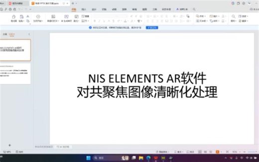 NIS ELEMENTS AR软件对共聚焦图像清晰化处理