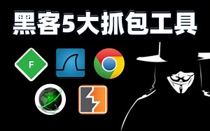 黑客必备5大抓包工具（Fiddler | Wireshark | Burpsuite | F12 | 网络嗅探器）从入门到入狱！