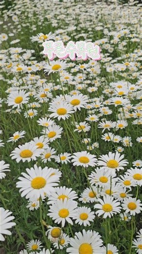 푸른수목원🌿#서울가볼만한곳 #서울여행