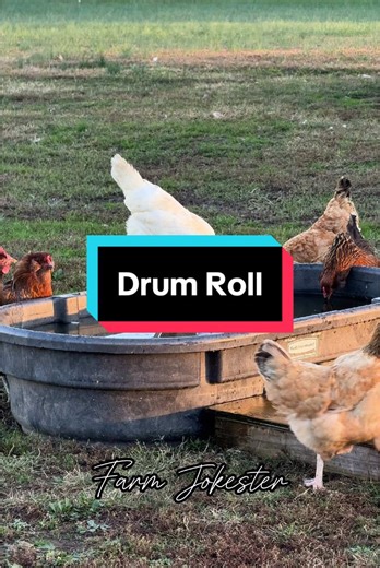 Drum Roll Jokes: The Funniest Way to Tell a Joke