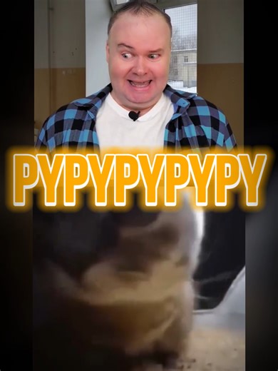 #chipichipichapachapa #chipichipi #mashup #pypypy #musicfy