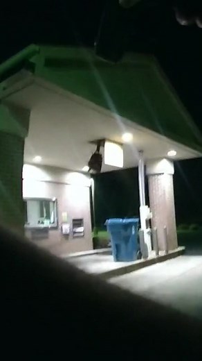 A security alarm brought police in Huron, Ohio, to a local credit union just as the suspected burglar was exiting through the ceiling. | CNN