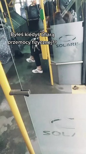 Exploring Solaris Bus Interior Features