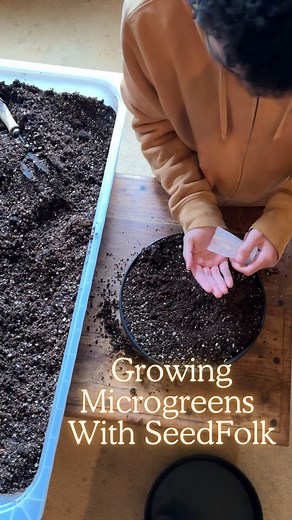 Ad MONTHLY GROW BOX FROM SEEDFOLK 🪴Planting microgreens over the Winter, we cut and resow, cut and resow so we always have fresh. Check out out recent blog post on growing microgreens 🌿Spending time doing this with Clayton will always be my favourite thing to do. Packed full of seeds, instructions, eco pots, coir soil, labels. Everything you need to get going each month without thinking about what you need. 🌿and THE best soil mix check out their website for full info on everything they includ