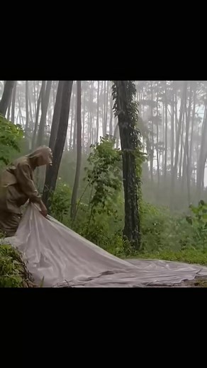 camping in rain ASMR relaxing hours in forest #campinglife #unitedkingdom #campingtips #cozivibes #raincamping | Xander Budnick