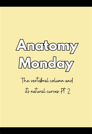 Anatomy Monday EP8: the vertebral column and its natural curves (pt2) #spine #spineeducation #anatomy #spinecurves