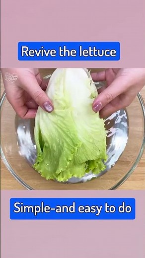 Stop Wasting LETTUCE! How to Keep It Fresh, Crisp, and Green for Weeks| Clevers Tricks