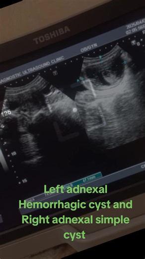 Sonologist ❤️ Amin Ullah on TikTok