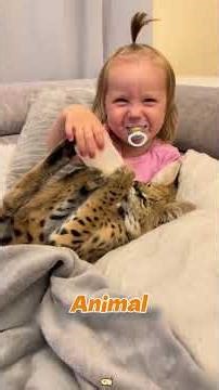 He Found a Mysterious Creature in a Tree… Now It Won’t Leave His Side #AnimalRescue#CuteAnimals