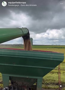 93K views · 2.8K reactions |  Dada a largada nas colheitas do campeonato Rice Money Maker - 3ª edição. Itaqui/RS - Família Vizzotto #arroz #rice #colheita #safra #agricultura #lavoura | Equipe FieldCrops | Facebook