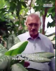 579K views · 10K reactions | Wilhelm Barthlott discovered the lotus effect. The lotus' highly rough surface, which enables air to get trapped in its cavities, was discovered by Barthlott's investigations. This prevents condensation from forming and makes it possible for wind to move water droplets across the surface, clearing away dirt particles. | Interesting Engineering | Facebook