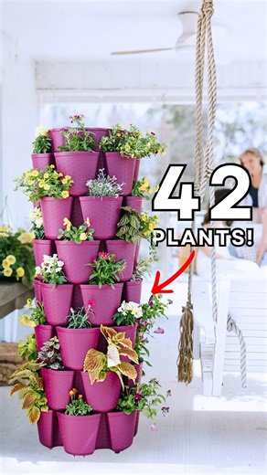 42 Plants in 2 Sq Ft?! 🤯 Small Space Garden Hack