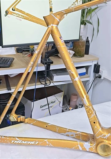 Custom Carbon Road Bike Frame with Logo