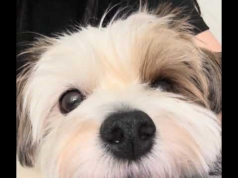 Bobby being curious about the sounds he’s hearing. 