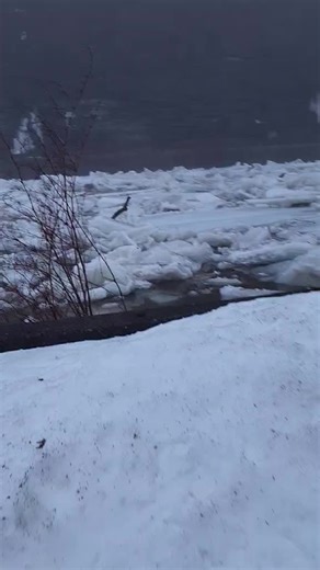 #scary stuff happening in my #hometown . Hoping for the best and the #ice jam breaks thru. #Pa #help !!