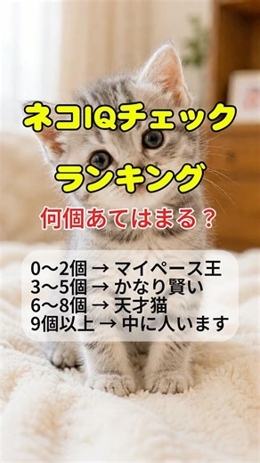 あなたの猫は天才？ネコIQチェックランキングTOP5！