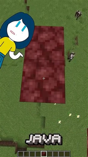 9.9K views · 415 reactions | Diferencias entre Minecraft Bedrock y Java #5 | Crbecker 2 | Facebook