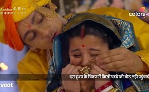 【律师大人】第96集：布里瓦西带着邦迪塔逃跑了？——Anidita字幕组译制_哔哩哔哩_bilibili