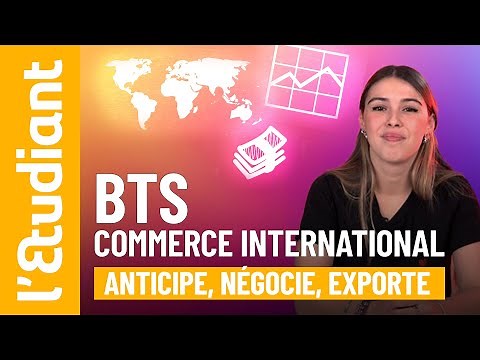 BTS CI (Commerce international) : programme, stage à l’étranger, débouchés