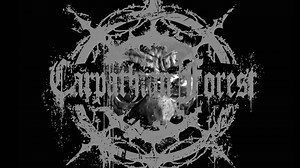 The fucking Return.... CARPATHIAN FOREST have recorded a rehearsal/video of the defunct US Cult garage band DEAD MOON "A fix on you". The band has also been taping demos, rehearsing for a few live-shows and will start recording the next full-lenght, "LIKSKUE" this summer/autumn for a 2018 release. https://www.youtube.com/watch?v=Y0zA1BjBFQI | CARPATHIAN FOREST