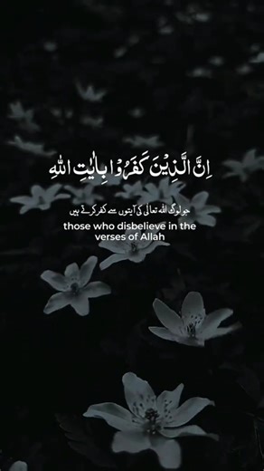 Abdul rehman masood beautiful tilawat #shrots