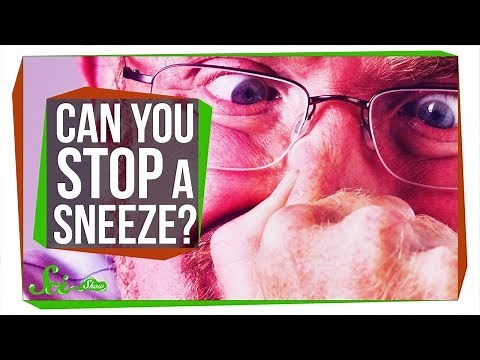 Why Does Putting a Finger Under Your Nose Stop a Sneeze?