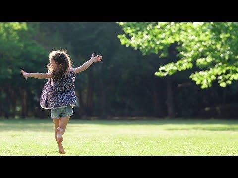 （151） SUNDAY PARK さだまさし アルバム『私花集（アンソロジー）』より