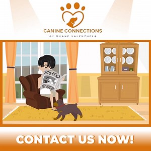 5.2K reactions · 344 shares |  Does your dog pull on the leash?...