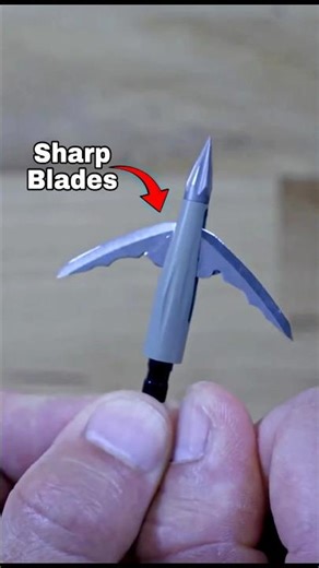 World’s Smartest Arrowhead #shorts