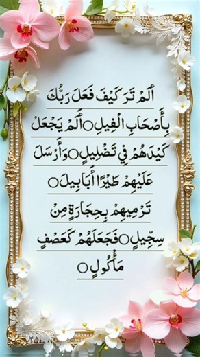 Quran recitation Surah Al-Fil ♥️ surahfil