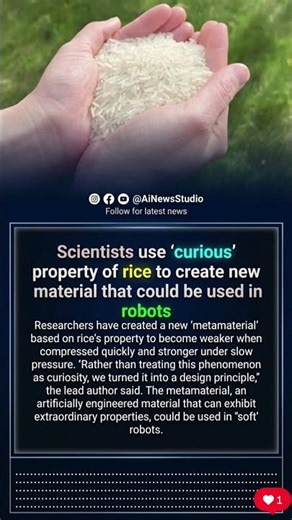 Scientists Discover ‘Curious’ Rice Property to Build the Future of Soft Robotics 🤖🌾