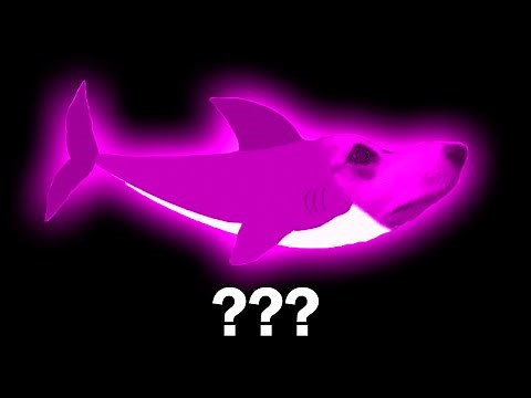 15 Gabe The Dog "Baby Shark" Sound Variations in 60 Seconds