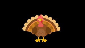 Thanksgiving Turkey Bird Cartoon Character