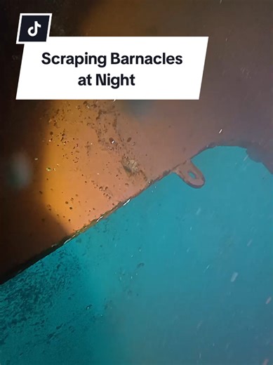 Nighttime Barnacle Scraping Techniques