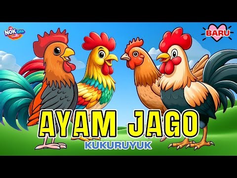 Lagu Anak Anak 🇮🇩 Kukuruyuk | Ayam Berkokok | Lagu Anak & Balita Sangat Viral