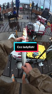 Ladyfish Catch, Clean & Cook: Quick Fishing Recipe