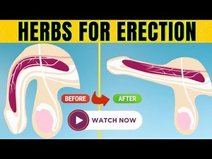 5 Herbs for Rock Hard Erections!