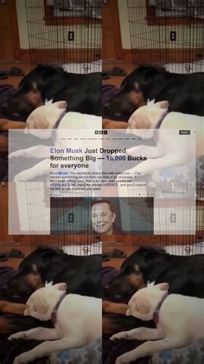 Funniest Home Pets - You Won't Stop Laughing!