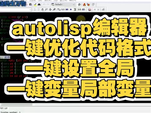 autolisp编辑器一键优化代码格式一键设置全局变量局部变量
