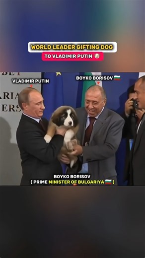 Why Do World Leaders Gift Dogs to Putin? 🐕🇷🇺 |#VladimirPutin #Russia #WorldLeaders #Dogs
