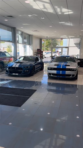 1.8K views · 318 reactions | Inside our showroom! Which vehicle is your favorite?樂 #Ford #cars #trucks #Ohio #SarchioneFord | Sarchione Ford Of Randolph | Facebook