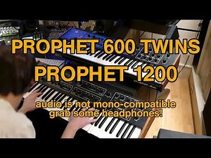 Prophet 600 twins: Prophet 1200