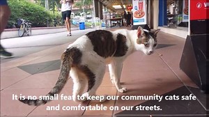 92K views · 3.3K reactions | What happens when the 15-year home of an...