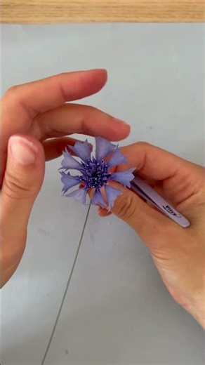 Creating Beautiful Paper Flowers from Scratch