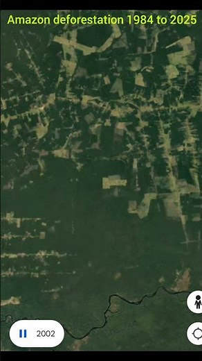 Amazon deforestation 1985 to 2025 satellite map