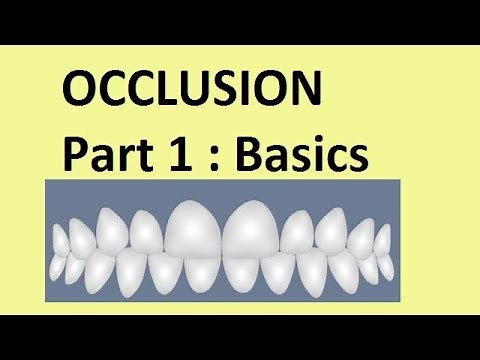 Occlusion : Part 1Basic concepts