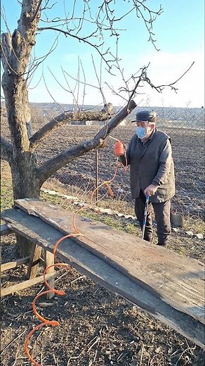 Orchard Spraying in Action Powerful Pest Control for Healthy Trees #gardening #garden #gardeningtips